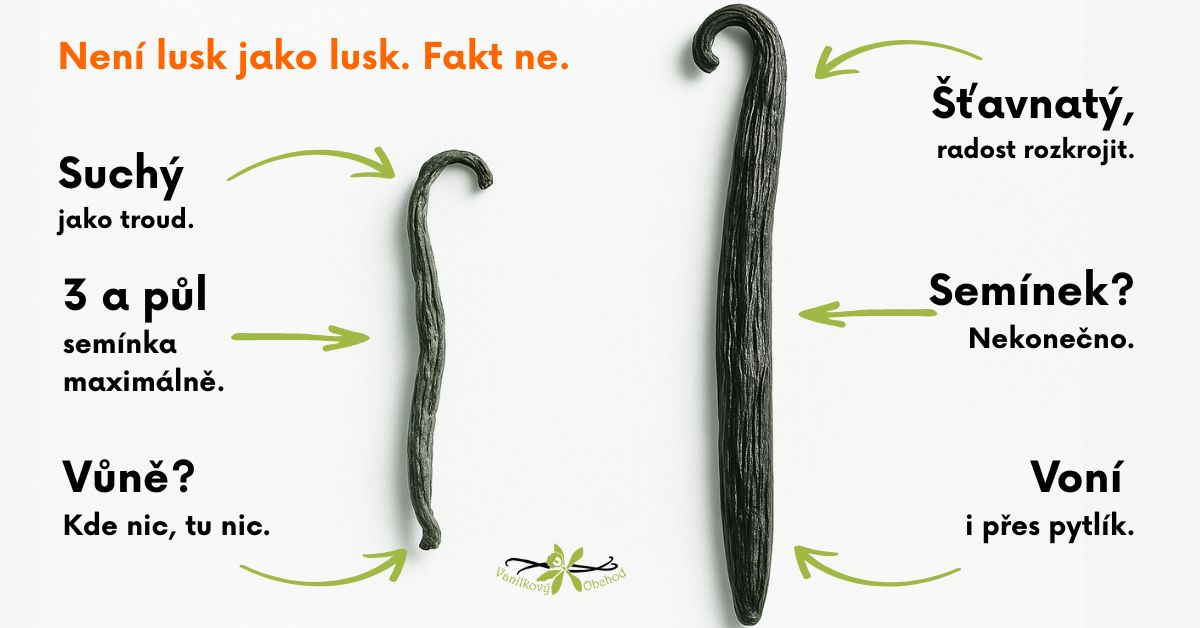 není lusk jako lusk